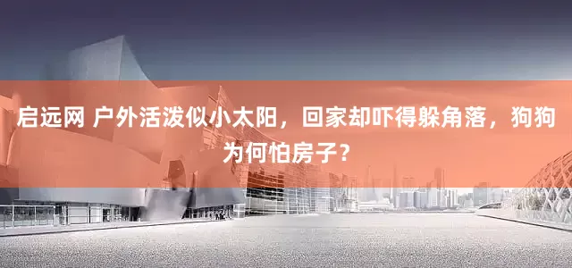 启远网 户外活泼似小太阳，回家却吓得躲角落，狗狗为何怕房子？