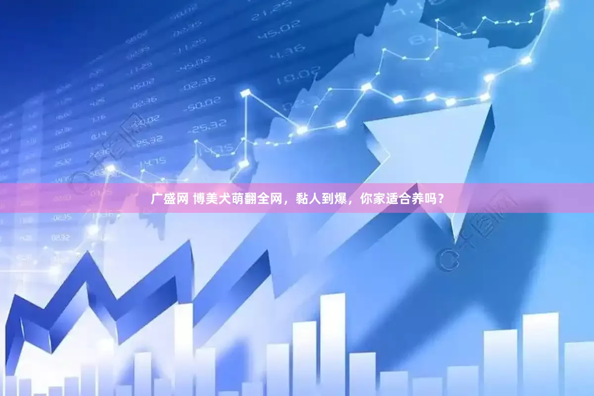 广盛网 博美犬萌翻全网，黏人到爆，你家适合养吗？