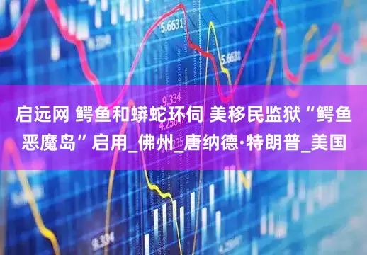 启远网 鳄鱼和蟒蛇环伺 美移民监狱“鳄鱼恶魔岛”启用_佛州_唐纳德·特朗普_美国