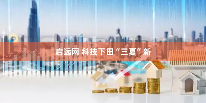 启远网 科技下田“三夏”新