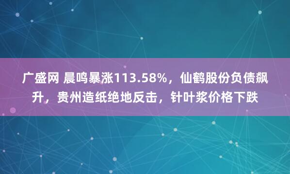 广盛网 晨鸣暴涨113.58%，仙鹤股份负债飙升，贵州造纸绝地反击，针叶浆价格下跌