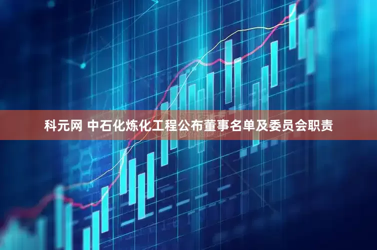 科元网 中石化炼化工程公布董事名单及委员会职责